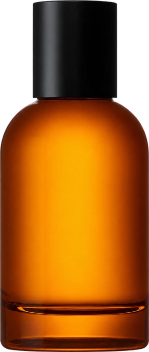 Eidesis